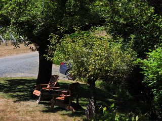 Filename=DSCN2825.JPG
Filesize=7073KiB
Dimensions=4608x3456
Date added=Sep 09, 2023 DSCN2825.JPG