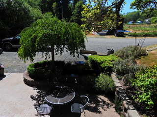 Filename=DSCN2827~0.JPG
Filesize=7421KiB
Dimensions=4608x3456
Date added=Sep 09, 2023 DSCN2827~0.JPG