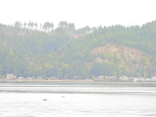 Filename=DSCN2851~0.JPG
Filesize=6449KiB
Dimensions=4608x3456
Date added=Sep 09, 2023 DSCN2851~0.JPG