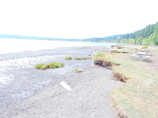 Filename=DSCN2859.JPG
Filesize=6446KiB
Dimensions=4608x3456
Date added=Sep 09, 2023 DSCN2859.JPG