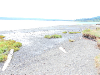 Filename=DSCN2860.JPG
Filesize=6809KiB
Dimensions=4608x3456
Date added=Sep 09, 2023 DSCN2860.JPG