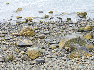 Filename=DSCN2865.JPG
Filesize=7113KiB
Dimensions=4608x3456
Date added=Sep 09, 2023 DSCN2865.JPG