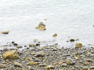 Filename=DSCN2866.JPG
Filesize=6924KiB
Dimensions=4608x3456
Date added=Sep 09, 2023 DSCN2866.JPG