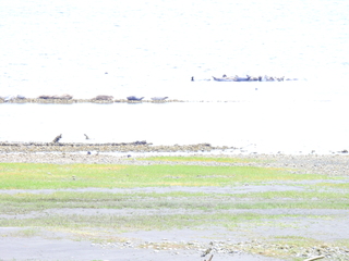 Filename=DSCN2871.JPG
Filesize=5839KiB
Dimensions=4608x3456
Date added=Sep 09, 2023 DSCN2871.JPG