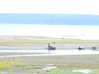 Filename=DSCN2872~0.JPG
Filesize=6164KiB
Dimensions=4608x3456
Date added=Sep 09, 2023 DSCN2872~0.JPG