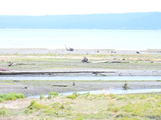 Filename=DSCN2873~0.JPG
Filesize=6772KiB
Dimensions=4608x3456
Date added=Sep 09, 2023 DSCN2873~0.JPG