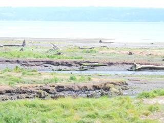 Filename=DSCN2874.JPG
Filesize=6870KiB
Dimensions=4608x3456
Date added=Sep 09, 2023 DSCN2874.JPG