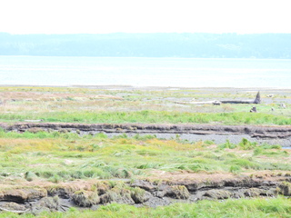 Filename=DSCN2875.JPG
Filesize=6154KiB
Dimensions=4608x3456
Date added=Sep 09, 2023 DSCN2875.JPG