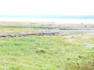 Filename=DSCN2876.JPG
Filesize=6493KiB
Dimensions=4608x3456
Date added=Sep 09, 2023 DSCN2876.JPG