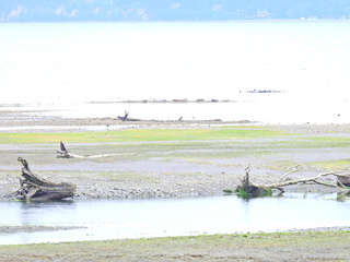 Filename=DSCN2879.JPG
Filesize=6429KiB
Dimensions=4608x3456
Date added=Sep 09, 2023 DSCN2879.JPG