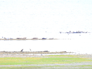 Filename=DSCN2880.JPG
Filesize=4960KiB
Dimensions=4608x3456
Date added=Sep 09, 2023 DSCN2880.JPG