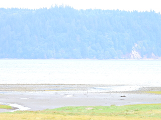 Filename=DSCN2884.JPG
Filesize=5916KiB
Dimensions=4608x3456
Date added=Sep 09, 2023 DSCN2884.JPG