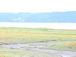 Filename=DSCN2890.JPG
Filesize=5911KiB
Dimensions=4608x3456
Date added=Sep 09, 2023 DSCN2890.JPG