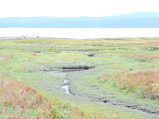 Filename=DSCN2891.JPG
Filesize=6888KiB
Dimensions=4608x3456
Date added=Sep 09, 2023 DSCN2891.JPG