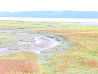 Filename=DSCN2892.JPG
Filesize=6320KiB
Dimensions=4608x3456
Date added=Sep 09, 2023 DSCN2892.JPG