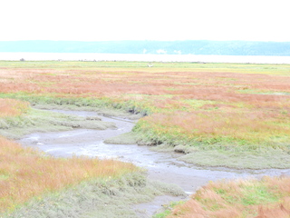 Filename=DSCN2893.JPG
Filesize=6315KiB
Dimensions=4608x3456
Date added=Sep 09, 2023 DSCN2893.JPG