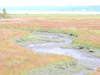 Filename=DSCN2897.JPG
Filesize=6804KiB
Dimensions=4608x3456
Date added=Sep 09, 2023 DSCN2897.JPG