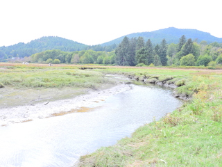 Filename=DSCN2898.JPG
Filesize=6622KiB
Dimensions=4608x3456
Date added=Sep 09, 2023 DSCN2898.JPG