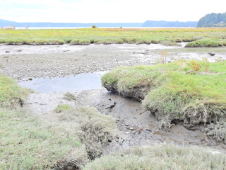 Filename=DSCN2905.JPG
Filesize=6610KiB
Dimensions=4608x3456
Date added=Sep 09, 2023 DSCN2905.JPG