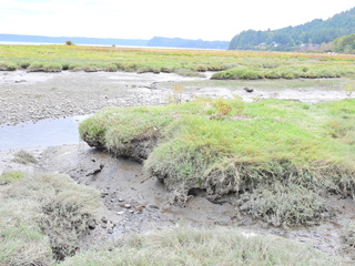 Filename=DSCN2906.JPG
Filesize=6576KiB
Dimensions=4608x3456
Date added=Sep 09, 2023 DSCN2906.JPG