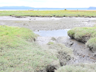 Filename=DSCN2907.JPG
Filesize=6836KiB
Dimensions=4608x3456
Date added=Sep 09, 2023 DSCN2907.JPG