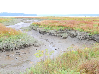 Filename=DSCN2908.JPG
Filesize=7050KiB
Dimensions=4608x3456
Date added=Sep 09, 2023 DSCN2908.JPG