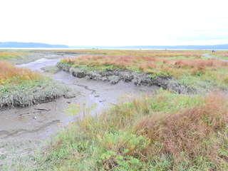 Filename=DSCN2910.JPG
Filesize=6642KiB
Dimensions=4608x3456
Date added=Sep 09, 2023 DSCN2910.JPG