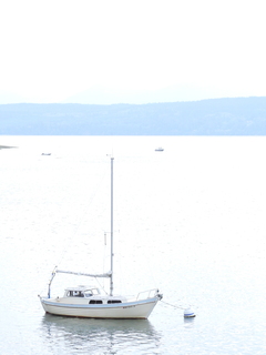 Filename=DSCN2911.JPG
Filesize=3550KiB
Dimensions=3456x4608
Date added=Sep 09, 2023 DSCN2911.JPG