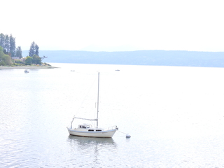 Filename=DSCN2912.JPG
Filesize=4207KiB
Dimensions=4608x3456
Date added=Sep 09, 2023 DSCN2912.JPG