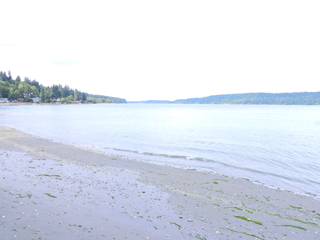 Filename=DSCN2921.JPG
Filesize=5590KiB
Dimensions=4608x3456
Date added=Sep 09, 2023 DSCN2921.JPG