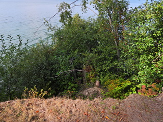 Filename=DSCN2957.JPG
Filesize=7278KiB
Dimensions=4608x3456
Date added=Sep 16, 2023 DSCN2957.JPG