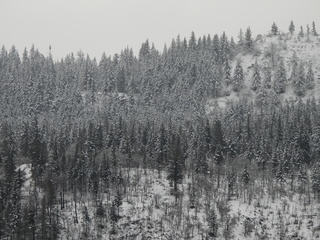 Filename=DSCN3762.JPG
Filesize=6937KiB
Dimensions=4608x3456
Date added=Mar 31, 2024 DSCN3762.JPG