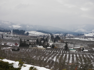 Filename=DSCN3780.JPG
Filesize=7266KiB
Dimensions=4608x3456
Date added=Mar 31, 2024 DSCN3780.JPG