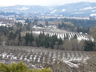 Filename=DSCN3782.JPG
Filesize=7011KiB
Dimensions=4608x3456
Date added=Mar 31, 2024 DSCN3782.JPG