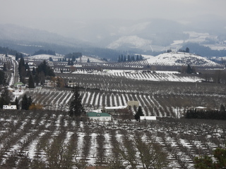 Filename=DSCN3783.JPG
Filesize=6807KiB
Dimensions=4608x3456
Date added=Mar 31, 2024 DSCN3783.JPG