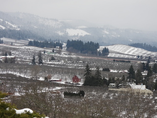 Filename=DSCN3784.JPG
Filesize=6785KiB
Dimensions=4608x3456
Date added=Mar 31, 2024 DSCN3784.JPG