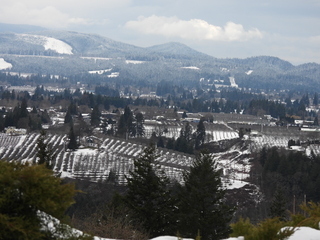 Filename=DSCN3785.JPG
Filesize=7050KiB
Dimensions=4608x3456
Date added=Mar 31, 2024 DSCN3785.JPG