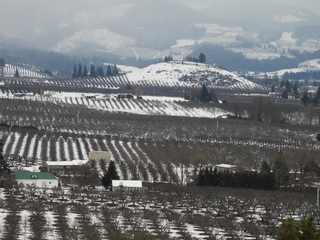 Filename=DSCN3787.JPG
Filesize=6702KiB
Dimensions=4608x3456
Date added=Mar 31, 2024 DSCN3787.JPG