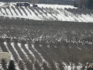 Filename=DSCN3788.JPG
Filesize=7036KiB
Dimensions=4608x3456
Date added=Mar 31, 2024 DSCN3788.JPG