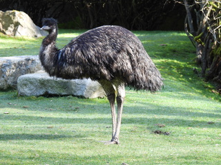 Filename=DSCN3799.JPG
Filesize=7022KiB
Dimensions=4608x3456
Date added=Mar 31, 2024 DSCN3799.JPG