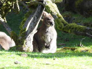 Filename=DSCN3800.JPG
Filesize=6830KiB
Dimensions=4608x3456
Date added=Mar 31, 2024 DSCN3800.JPG