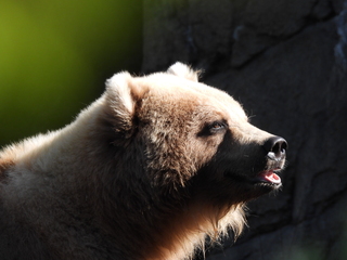 Filename=DSCN3803.JPG
Filesize=6826KiB
Dimensions=4608x3456
Date added=Mar 31, 2024 DSCN3803.JPG