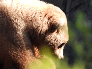 Filename=DSCN3804.JPG
Filesize=6735KiB
Dimensions=4608x3456
Date added=Mar 31, 2024 DSCN3804.JPG