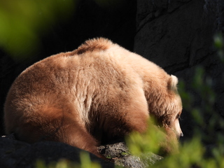 Filename=DSCN3805.JPG
Filesize=6174KiB
Dimensions=4608x3456
Date added=Mar 31, 2024 DSCN3805.JPG