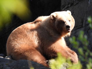 Filename=DSCN3806.JPG
Filesize=6328KiB
Dimensions=4608x3456
Date added=Mar 31, 2024 DSCN3806.JPG