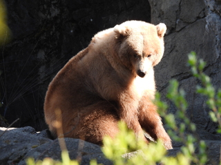 Filename=DSCN3808.JPG
Filesize=6978KiB
Dimensions=4608x3456
Date added=Mar 31, 2024 DSCN3808.JPG