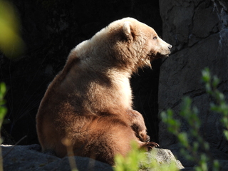 Filename=DSCN3809.JPG
Filesize=7081KiB
Dimensions=4608x3456
Date added=Mar 31, 2024 DSCN3809.JPG