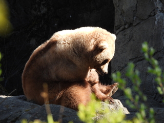 Filename=DSCN3810.JPG
Filesize=6894KiB
Dimensions=4608x3456
Date added=Mar 31, 2024 DSCN3810.JPG