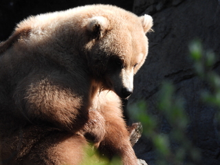 Filename=DSCN3811.JPG
Filesize=7288KiB
Dimensions=4608x3456
Date added=Mar 31, 2024 DSCN3811.JPG