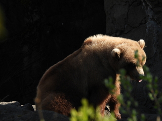 Filename=DSCN3812.JPG
Filesize=5485KiB
Dimensions=4608x3456
Date added=Mar 31, 2024 DSCN3812.JPG